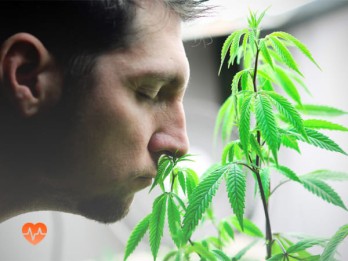 Детоксикация от марихуаны в Кизнере
